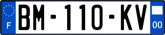 BM-110-KV