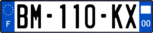 BM-110-KX