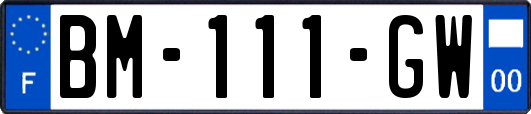 BM-111-GW