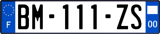 BM-111-ZS