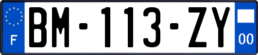 BM-113-ZY