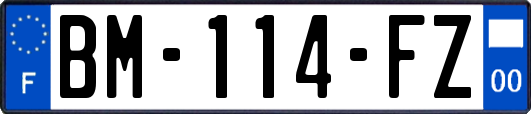 BM-114-FZ