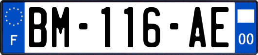 BM-116-AE