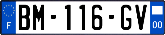 BM-116-GV