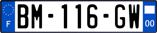 BM-116-GW