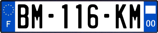 BM-116-KM