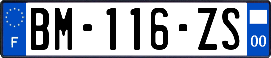 BM-116-ZS