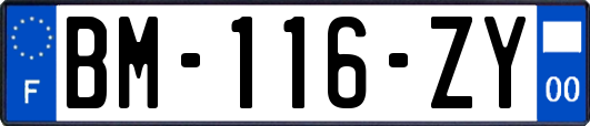 BM-116-ZY