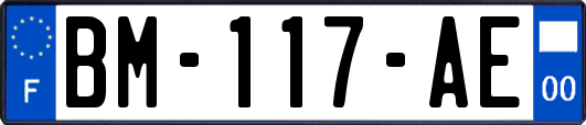 BM-117-AE