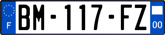 BM-117-FZ