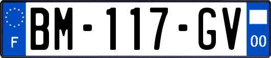 BM-117-GV