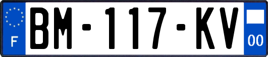BM-117-KV