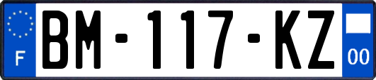 BM-117-KZ