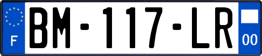 BM-117-LR
