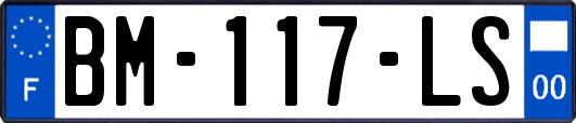 BM-117-LS