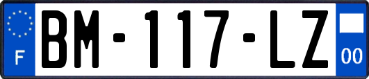 BM-117-LZ