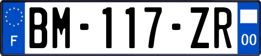 BM-117-ZR