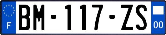 BM-117-ZS