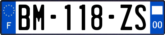 BM-118-ZS