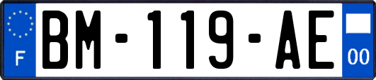 BM-119-AE