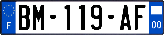 BM-119-AF