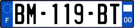 BM-119-BT