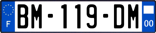 BM-119-DM