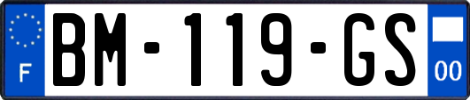 BM-119-GS