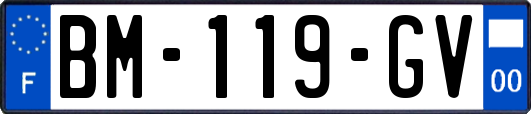 BM-119-GV