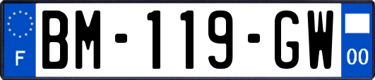 BM-119-GW