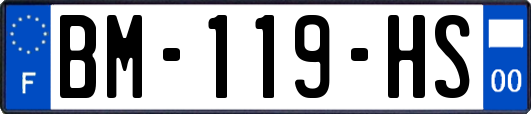 BM-119-HS