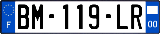 BM-119-LR