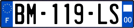 BM-119-LS