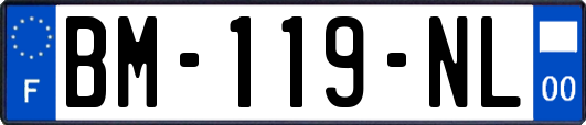 BM-119-NL