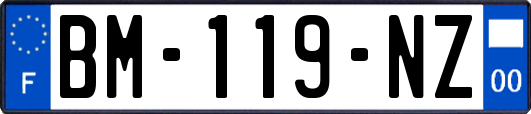 BM-119-NZ