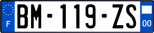 BM-119-ZS