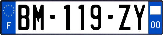 BM-119-ZY