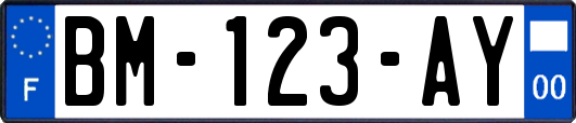 BM-123-AY