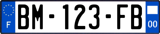 BM-123-FB