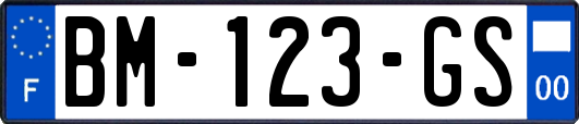 BM-123-GS