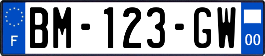 BM-123-GW