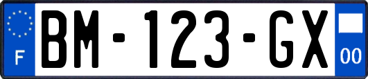 BM-123-GX