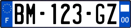 BM-123-GZ