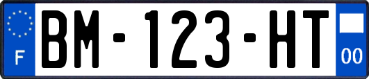 BM-123-HT