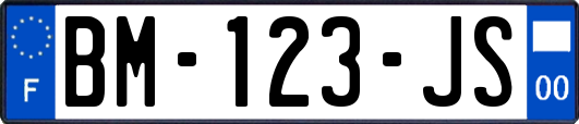 BM-123-JS