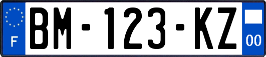 BM-123-KZ