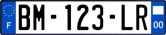 BM-123-LR