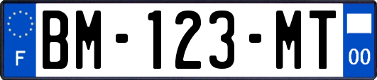 BM-123-MT