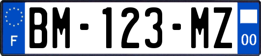 BM-123-MZ