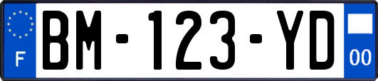 BM-123-YD